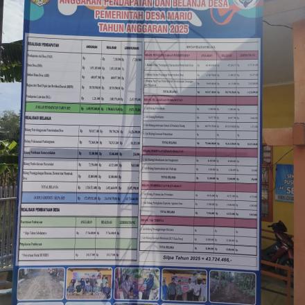 Media Informasi APBDes